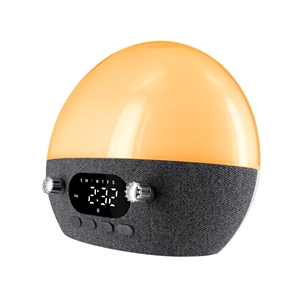 MIOLAMP006